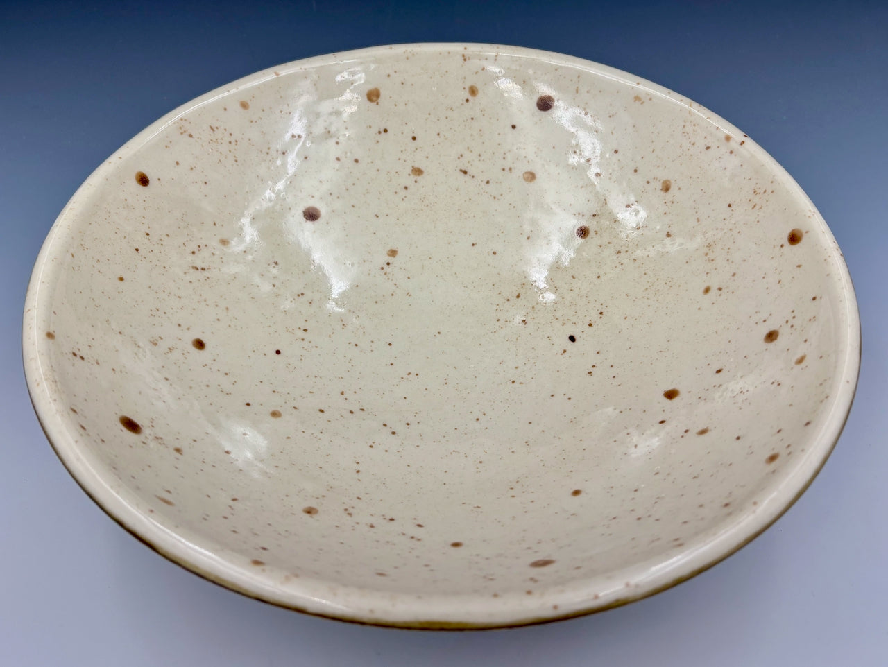 Elegant Wide Serving Bowl